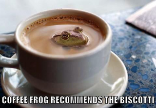 Coffee Frog