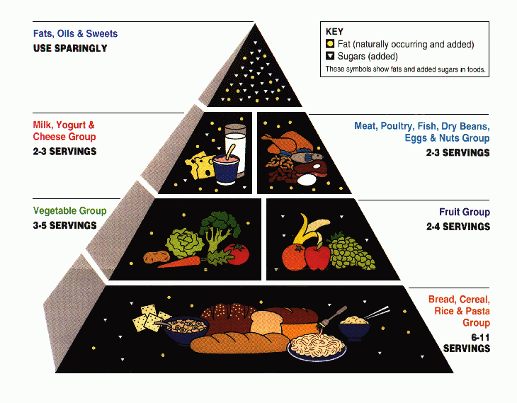 Who Invented The Food Pyramid 