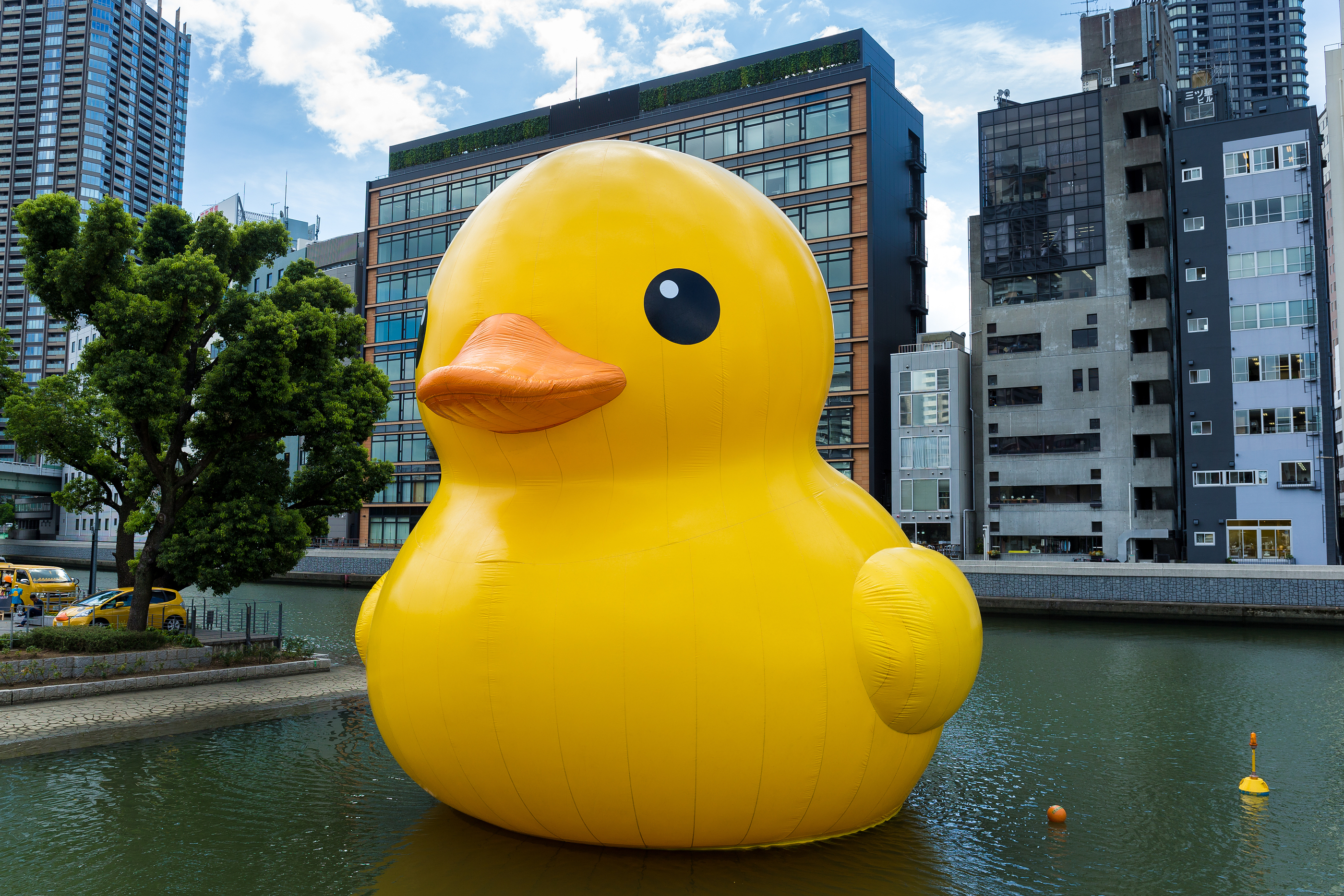 When Rubber Duckies Started Making Bath Time Lots Of Fun