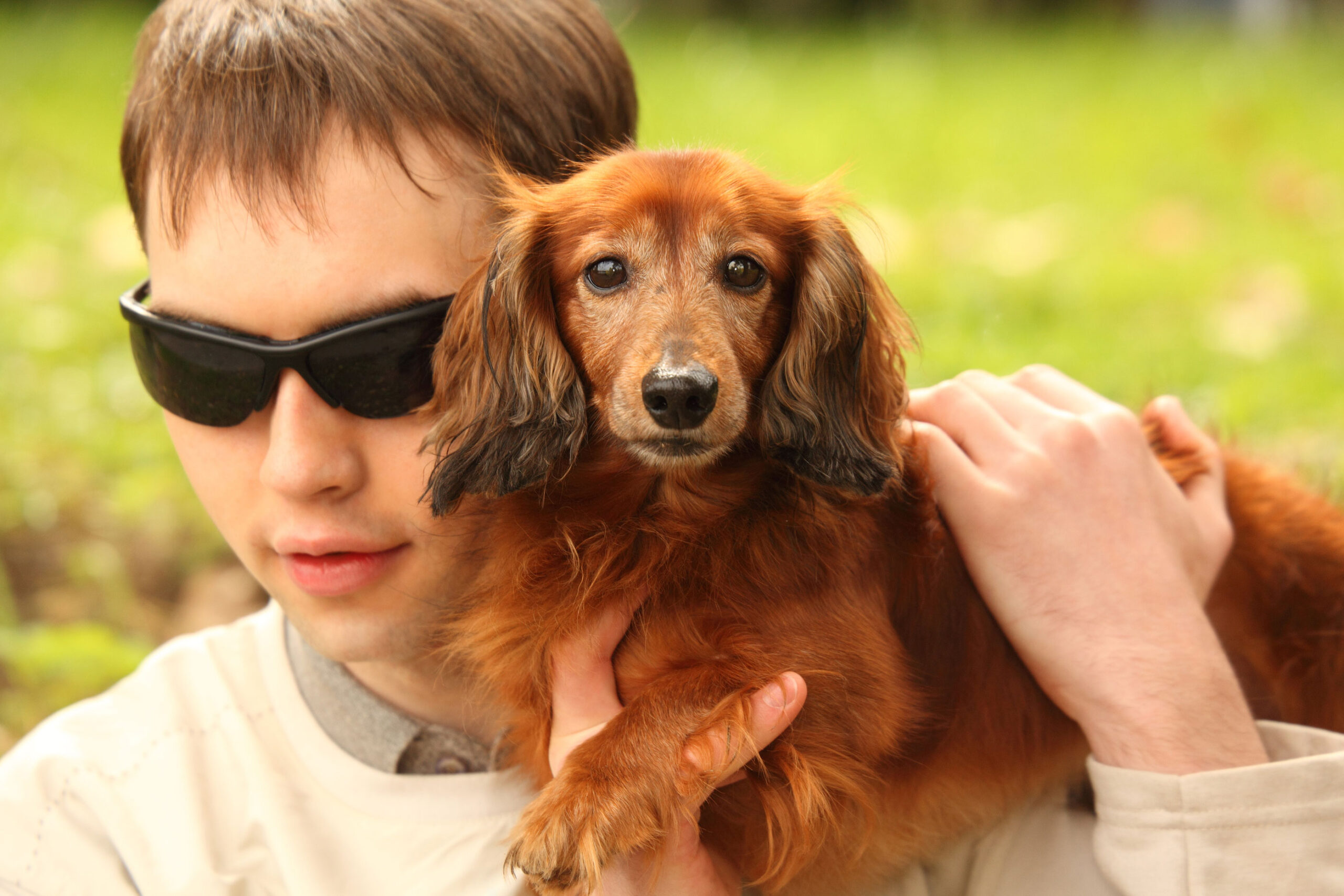 How Are Guide Dogs Trained What