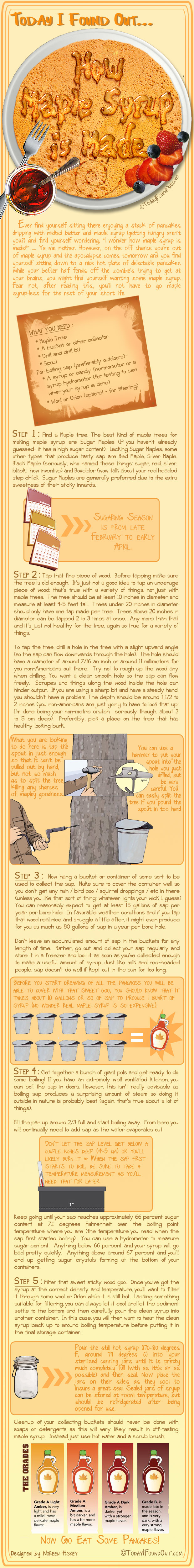 How Maple Syrup Is Made