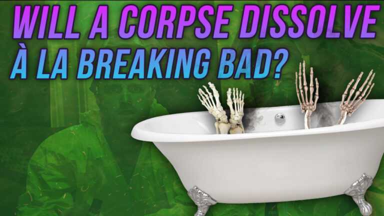 Can You Really Dissolve A Human Body In Acid Like In Breaking Bad